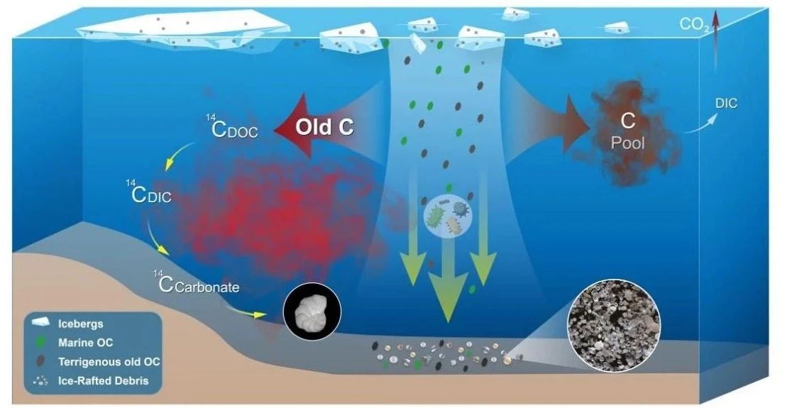 极端事件下有机老碳对深海碳-14转化循环过程的影响.jpg