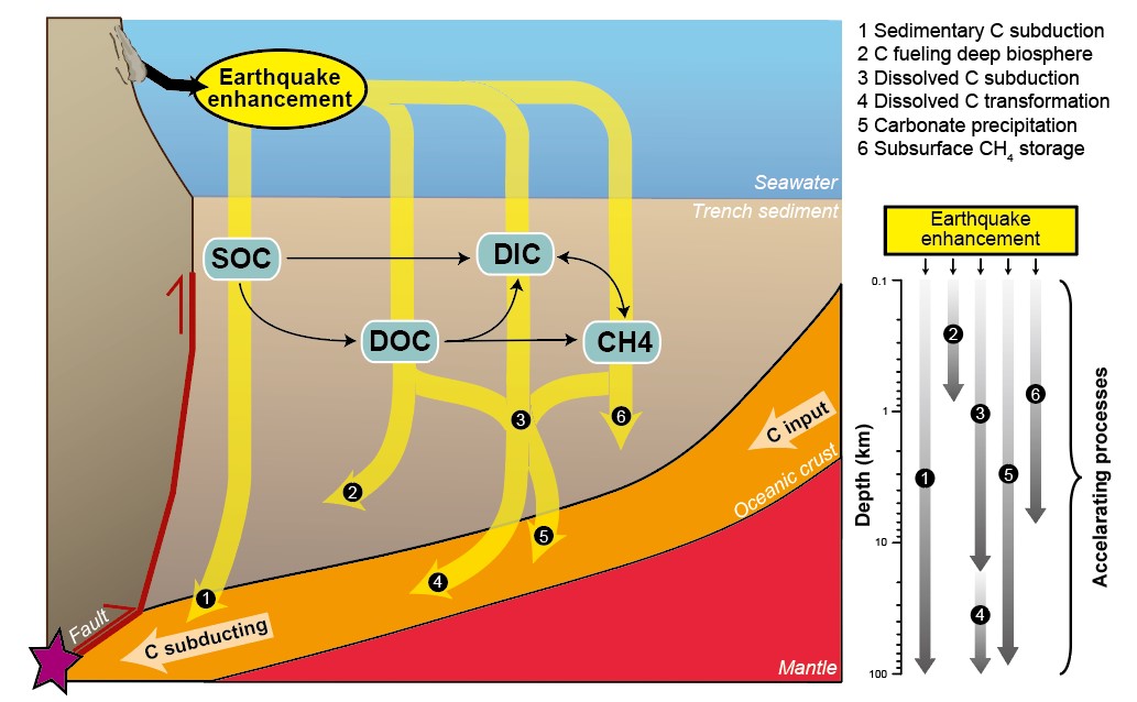 图2地震促进了海沟碳转化和深部碳循环。.jpg