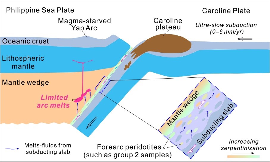 图4 卡洛琳洋底高原超慢速俯冲与贫岩浆型雅浦岛弧成因模式.jpg