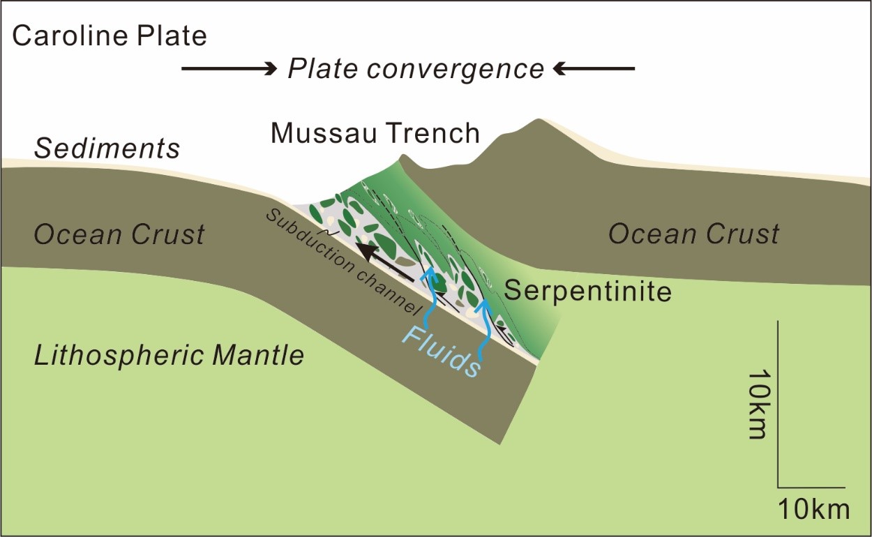 图5. 穆绍海沟成因模式图。俯冲板块脱水交代上覆板块岩石圈地幔，并形成俯冲隧道。.jpg